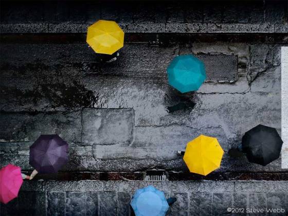 Umbrella Mandalas - photo by Steve Webb