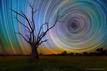 Star Trails by Lincoln Harrison