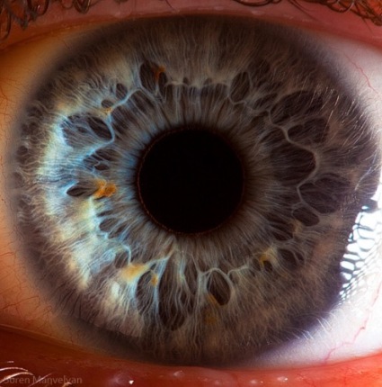Human Eye Iris by Suren Manvelyan