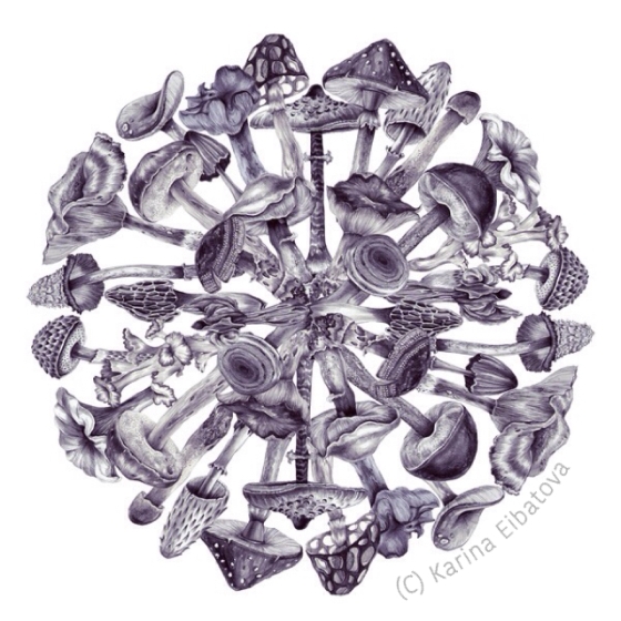Mushroom Mandala by Karina Eibatova